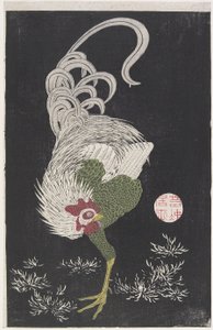 (Kogut)